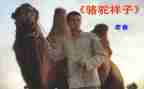 骆驼的读后感优质6篇