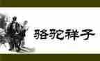 骆驼的读后感600字精选5篇