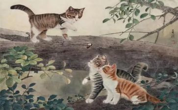 猫的礼物读后感最新6篇