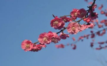 何向梅培训心得体会5篇