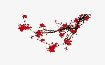 描写梅花的作文100字5篇