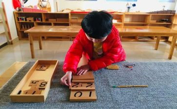 蒙氏教师述职报告优秀7篇
