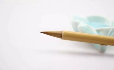 明星迷作文7篇