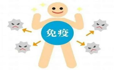 免疫个人总结5篇
