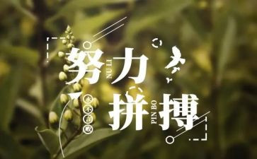 名人作文500字5篇