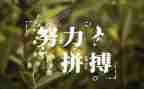 名人作文500字5篇