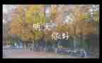 今天的你明天的我作文7篇