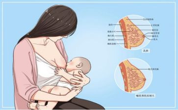 母乳喂养周2024活动方案6篇