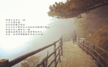 目送读后感最新5篇