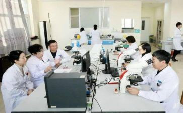 2024内科上半年工作总结8篇