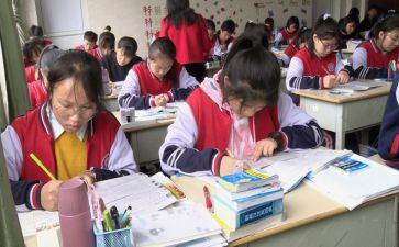 四年级下学期语文工作总结最新6篇