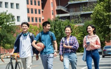 2024年少先队小学工作总结模板7篇