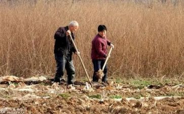 农民节心得体会5篇
