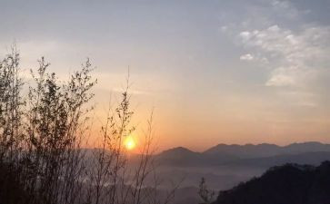 《盼》读后感30字优质7篇