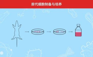 培养孩子的阅读心得体会5篇