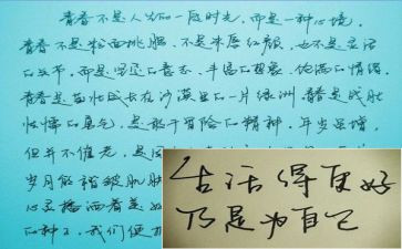 漂亮猪读后感优质7篇