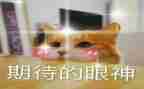 有关期待的作文7篇