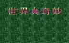 奇妙的梦作文300字推荐5篇