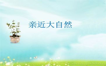 亲近大海作文8篇