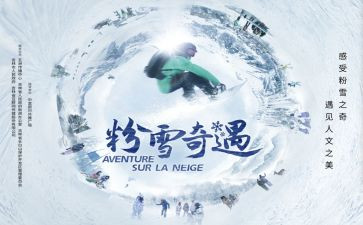 木偶奇遇读后感优秀8篇