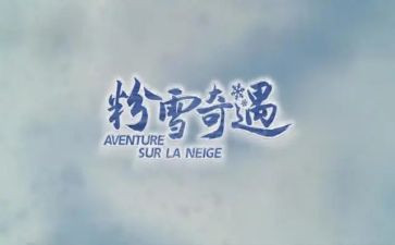 木偶奇遇读后感模板8篇