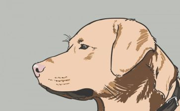 军犬黑子读后感6篇