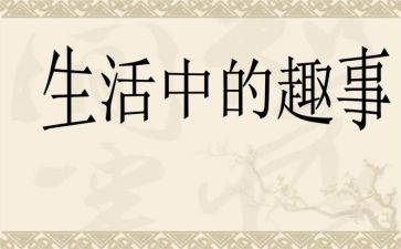 《元旦趣事》作文精选5篇