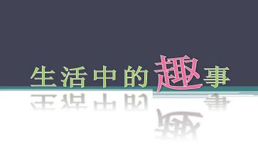 捉鸡趣事作文5篇