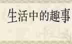 《元旦趣事》作文精选5篇