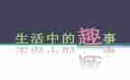 捉鸡趣事作文5篇