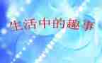 元旦趣事优秀作文8篇