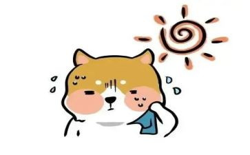 热门的演讲稿优秀7篇