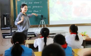 主任教师工作总结模板6篇