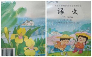 个人教学心得体会范文模板6篇