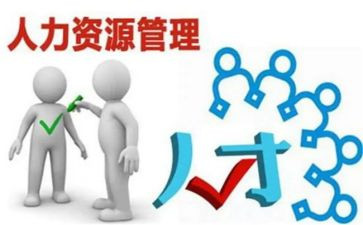 人力个人总结最新6篇