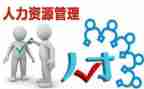 人力个人总结最新6篇