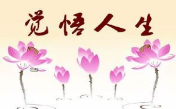 我的人生作文精选7篇