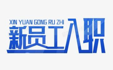 新入职公司工作总结6篇