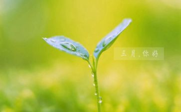 三月中班保育工作总结6篇