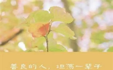 善良作文600字5篇