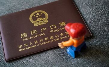 申请上户口申请书精选5篇