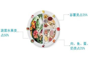 品膳食心得体会7篇