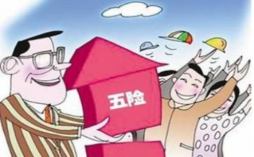 2024社保年度总结6篇