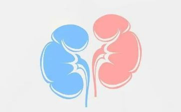 肾内科月工作计划优质5篇