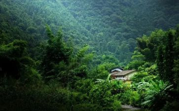 在我心灵的深处的作文精选8篇