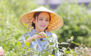 生活类的演讲稿参考8篇