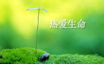 平分的生命读后感8篇