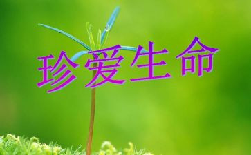生命教育大班教案6篇