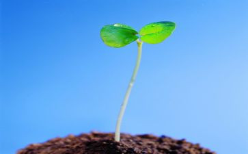 读《生命的重建》的读后感5篇