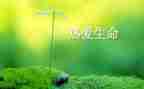 生命安全作文优秀7篇